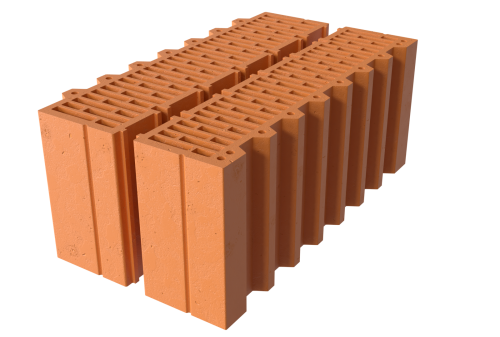 изображение_2026-01-30_173346563