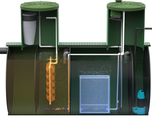 изображение_2026-02-03_162905736